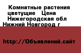 Комнатные растения цветущие › Цена ­ 50 - Нижегородская обл., Нижний Новгород г.  »    